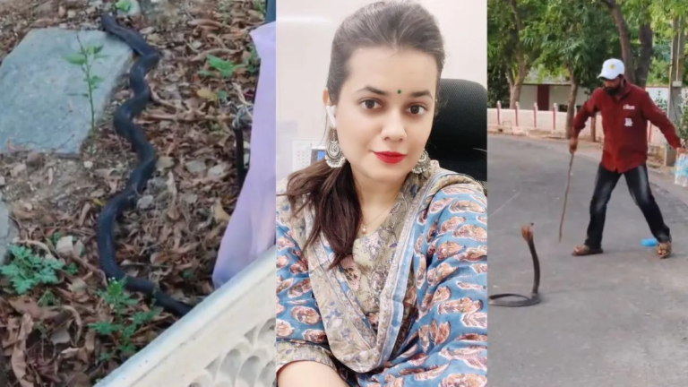 IAS अधिकारी टीना डाबी के सरकारी आवास में घुसा करीब 5 फीट लंबा सांप, देखें VIDEO